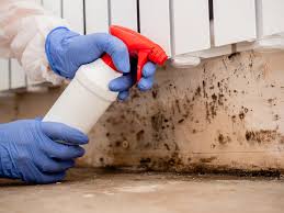 Best Mold Odor Removal Services  in Cadiz, OH